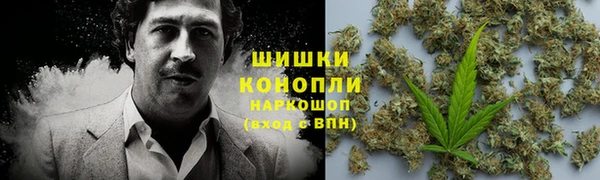 прущие грибы Козловка