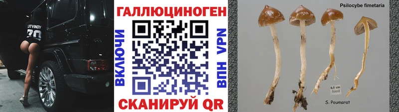 Галлюциногенные грибы Psilocybe  Купить где  Асбест 